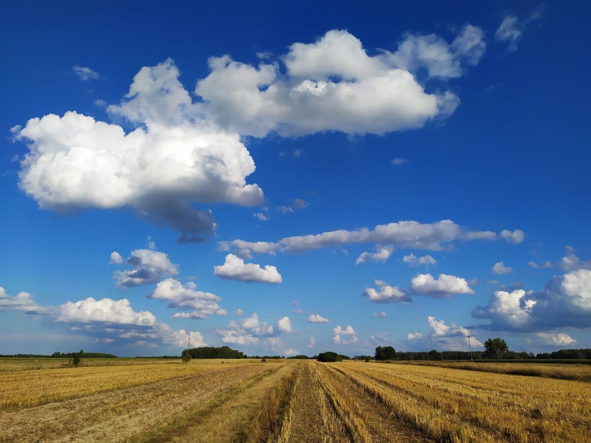 Pole po żniwach, niebieskie niebo z chmurami.