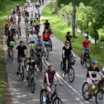 Po ulicy jedzie wielu rowerzystów, po obu stronach otacza ich piękna soczysta zieleń