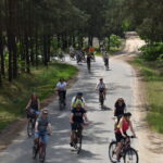 Z za zakrętu wyłaniają się rowerzyści którzy jadą drogą asfaltową przez las, za nimi widać drogę piaskową