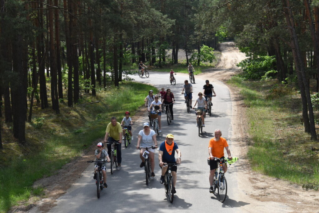 Barwnie ubrani rowerzyści jadą drogą asfaltową przez las