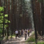 Grupa osób jedzie na rowerach piaszczystą drogą przez las sosnowy, świeci słońce, które przebija się przez konary drzew