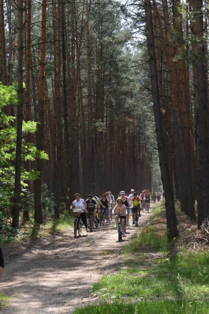 Grupa osób jedzie na rowerach piaszczystą drogą przez las sosnowy, świeci słońce, które przebija się przez konary drzew