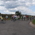 rowerzyści na drodze