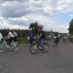 rowerzyści na drodze