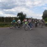 rowerzyści na drodze