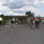 rowerzyści na drodze