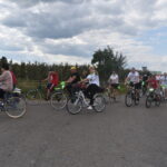 rowerzyści na drodze