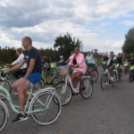 rowerzyści na drodze