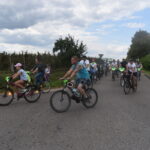 rowerzyści na drodze