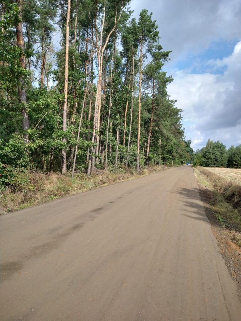 droga przy lesie