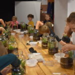 Tegoroczną Noc Bibliotek rozpoczęliśmy od warsztatów dla dzieci. Uczestnicy mogli sami stworzyć las w słoiku, który zabrali do domu. W związku z udziałem w tej akcji dzieci mogły również obejrzeć familijny film przygodowy o parze młodych detektywów, ekranizacja popularnej serii książek dla dzieci Martina Widmarka, ilustrowanych przez H. Willis „Biuro Detektywistyczne Lessego i Mai”.