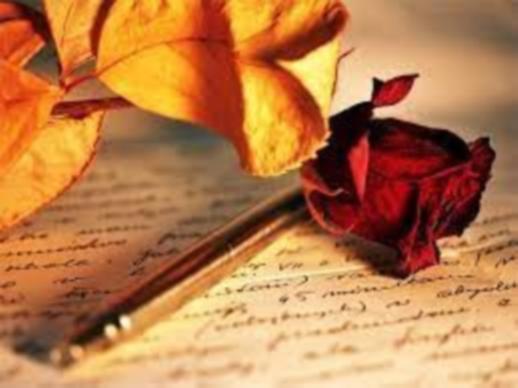 róża i żólte liście leżące na zapisanej kartce
