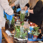 25 listopada Gminny Ośrodek Kultury zorganizował warsztaty dla dorosłych„Las w słoiku” podczas których uczestnicy dowiedzieli się , jak stworzyć swój własny mały ekosystem.