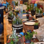 25 listopada Gminny Ośrodek Kultury zorganizował warsztaty dla dorosłych„Las w słoiku” podczas których uczestnicy dowiedzieli się , jak stworzyć swój własny mały ekosystem.