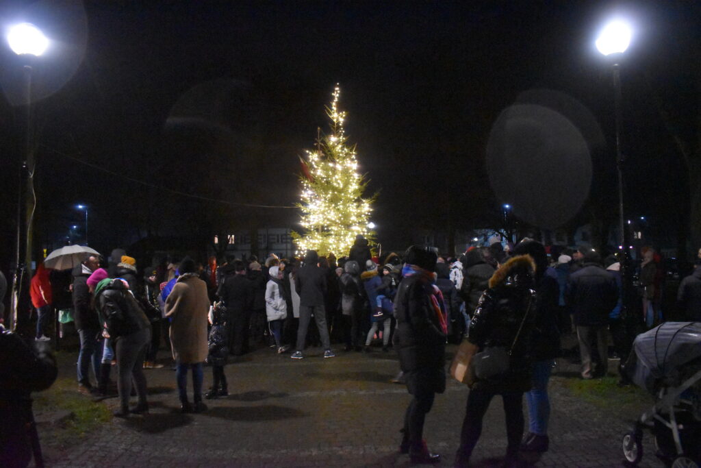 Wysokie drzewko świąteczne w parku. Dookoła drzewka zebrani ludzie.