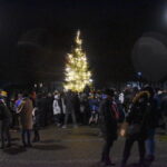 Wysokie drzewko świąteczne w parku. Dookoła drzewka zebrani ludzie.