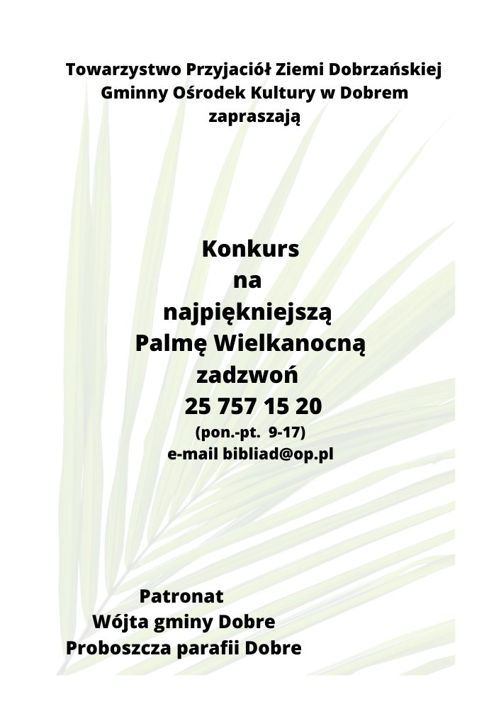 Liść zielonej palmy