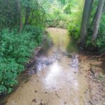 2020-08-18_12-00-00_147 rzeka, obok drzewa