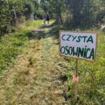 348357012_4557529487704368_3548131177388794198_n tabliczka Czysta Osownica wbita w łąkę