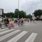 Rowerzyści jadący asfaltowa drogą