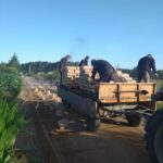 IMG_20230628_064420268 droga, ciagnik pole niebo