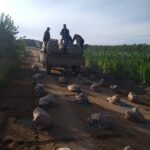 IMG_20230628_064514351 droga, ciagnik pole niebo