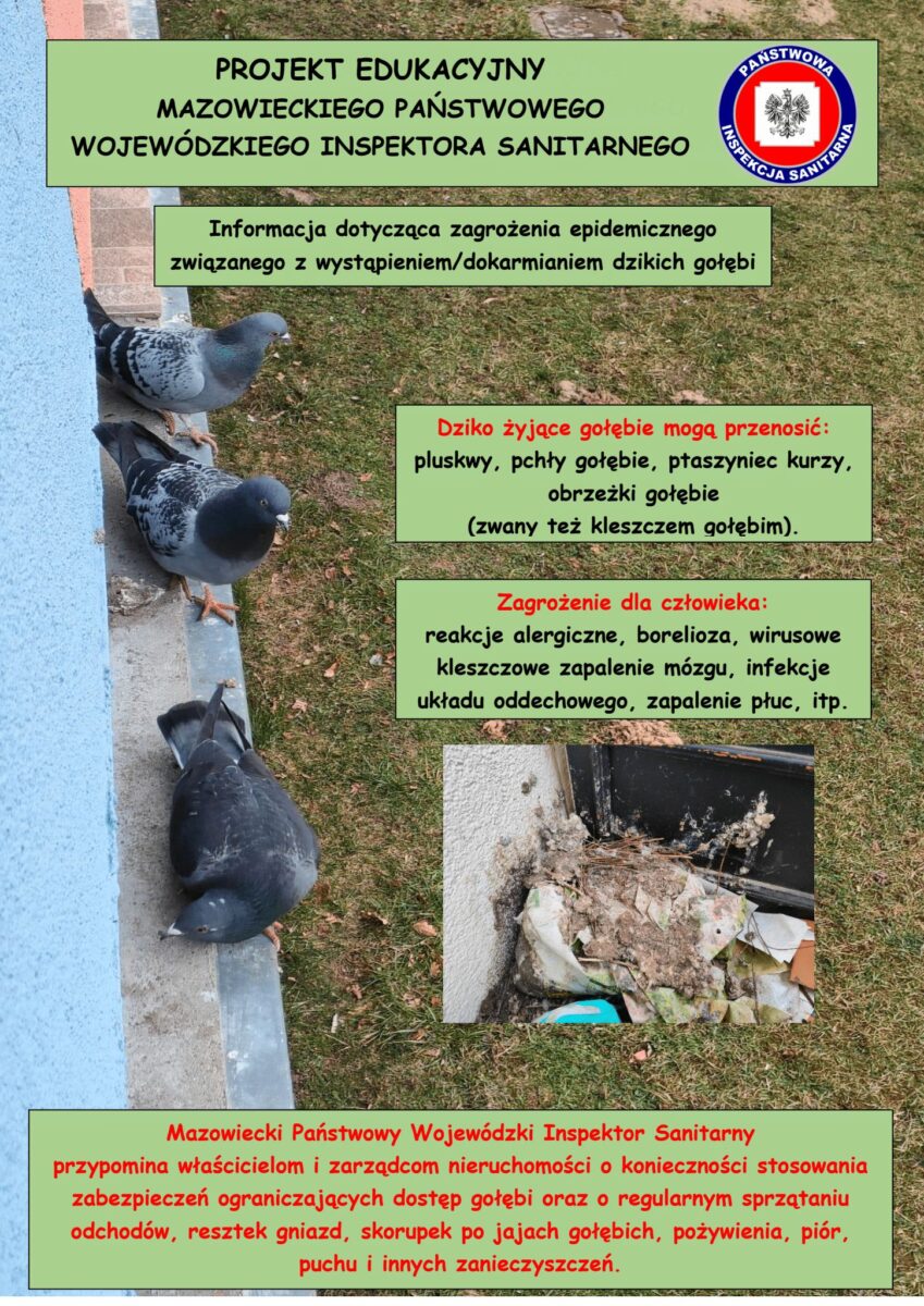 ulotka informacyjna ze zdjęciami gołębi