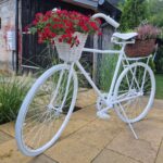 dom chodnik zielen niebo