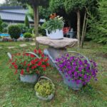 dom chodnik zielen niebo