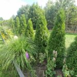 dom chodnik zielen niebo