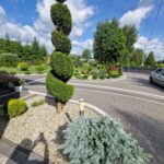 dom chodnik zielen niebo