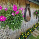 dom chodnik zielen niebo