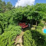 dom chodnik zielen niebo