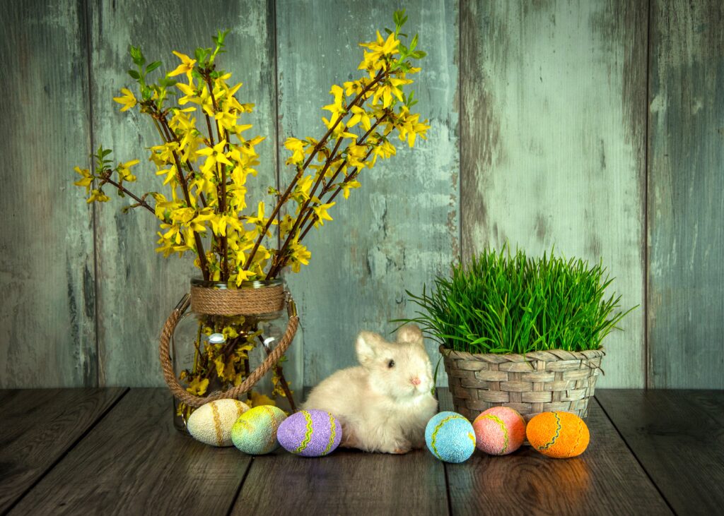 Na obrazku królika siedzącego obok nich jajek. W tle na drewnianej powierzchni znajdują się koszyki z żółtymi kwiatami i zielonymi roślinami, całość prezentuje się na tle rustykalnej scenografii.
