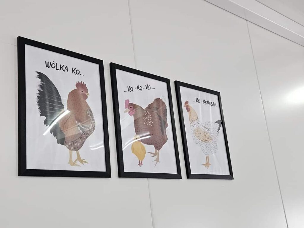 Na obrazku widać trzy oprawione ilustracje kur, na których umieszczone są dźwięki na obrazach omatopeicznych. rozwinął się jeden na ścianie w czystym, białym osadzie.