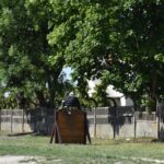 Na obrazku jest osoba w mieszkaniu sportowym, która wspina się na drewnianą przeszkodę miejscecą na miejscu torze treningowym. W tle widać drzewo i drewniane ogrodzenie.