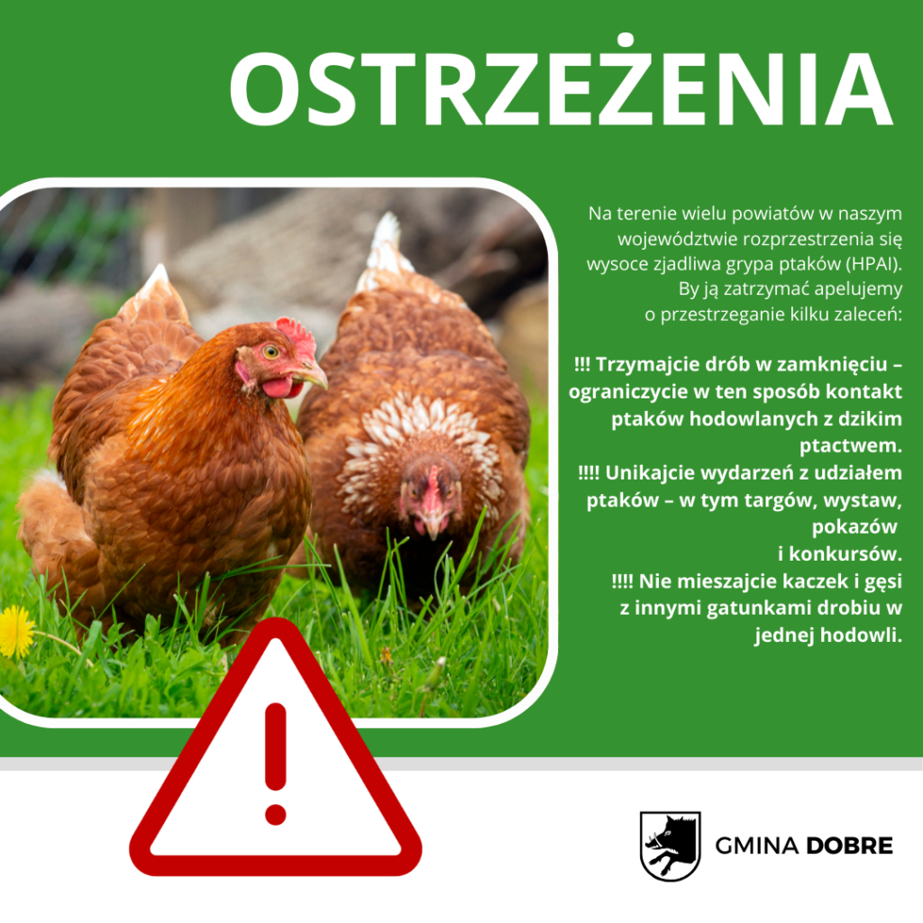 Na obrazku widzisz ostrzeżenie dotyczące ptasiej grypy, które zawiera wizerunki kurczaków i nakazuje ograniczenie kontaktu z dzikimi ptakami oraz unikanie zdarzeń z ptakami. Obok tekstu znajduje się także logo gminy Dobre.