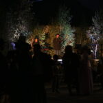 Koncert na świeżym powietrzu w nocy, scena oświetlona zielenią, ludzie w cieniu na ciemnym tle.