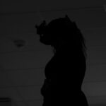 Czarna sylwetka kobiety w kapeluszu na tle jasnego sufitu. Nocna sceneria z konturami postaci. Tajemniczy i dramatyczny klimat.