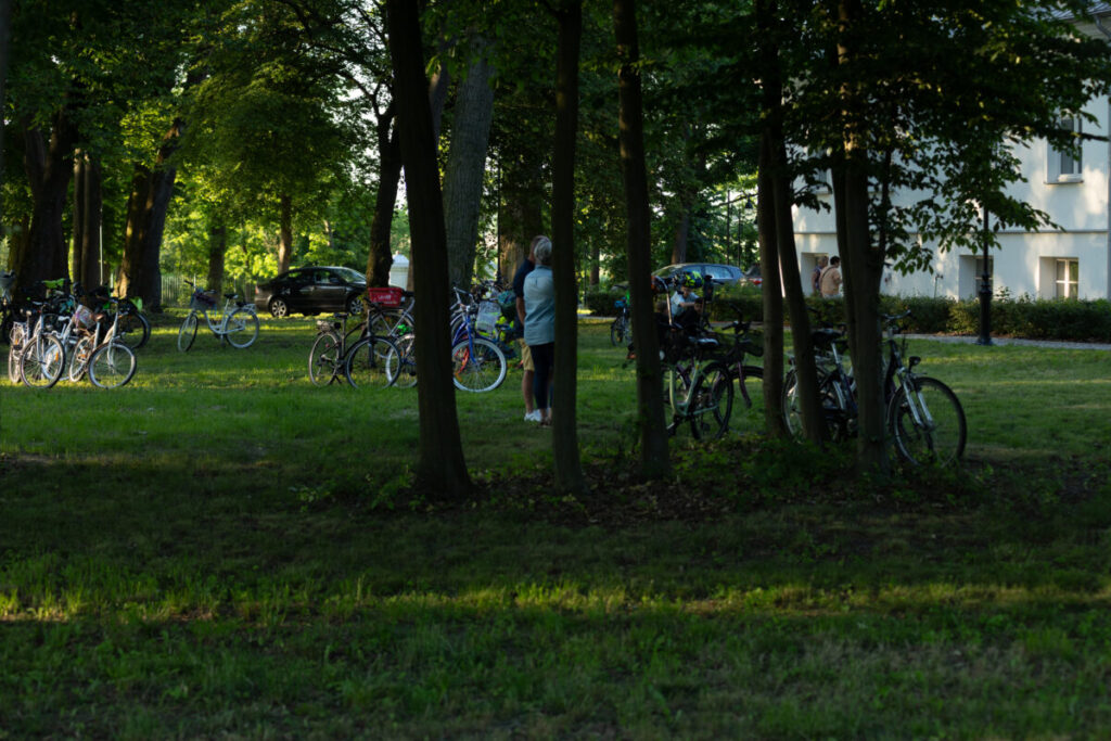 Na zdjęciu w parku znajduje się wiele rowerów zaparkowanych na trawie. W tle są drzewa i białe budynki. Światło jest przytłumione przez cień drzew.