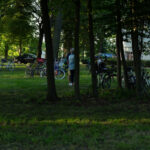 Na zdjęciu w parku znajduje się wiele rowerów zaparkowanych na trawie. W tle są drzewa i białe budynki. Światło jest przytłumione przez cień drzew.