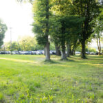 Zielona polana na pierwszym planie, z drzewami po prawej stronie. W tle białe i czarne samochody. Jasne niebo i promienie słońca.