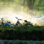 Na zdjęciu widać parkujące rowery i samochody w częściowym świetle. Tło to zielone drzewa z mgiełką. Z przodu idzie osoba.