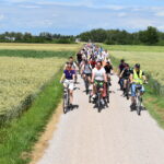 Grupa rowerzystów jedzie drogą polną przez zielone pola pod błękitnym niebem. Przyroda otacza trasę po obu stronach. Uczestnicy są różnorodnie ubrani.