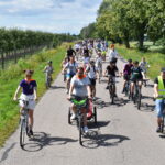 Grupa rowerzystów jedzie wzdłuż zielonego sadu. Słoneczny dzień, niebo z białymi chmurami. W tle drzewa i prosta droga.