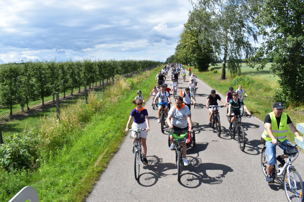 Grupa rowerzystów jedzie asfaltową drogą wśród zieleni. Po lewej stronie widać rząd drzew owocowych. Pogoda jest słoneczna z niewielkim zachmurzeniem.