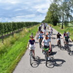 Grupa rowerzystów jedzie asfaltową drogą wśród zieleni. Po lewej stronie widać rząd drzew owocowych. Pogoda jest słoneczna z niewielkim zachmurzeniem.