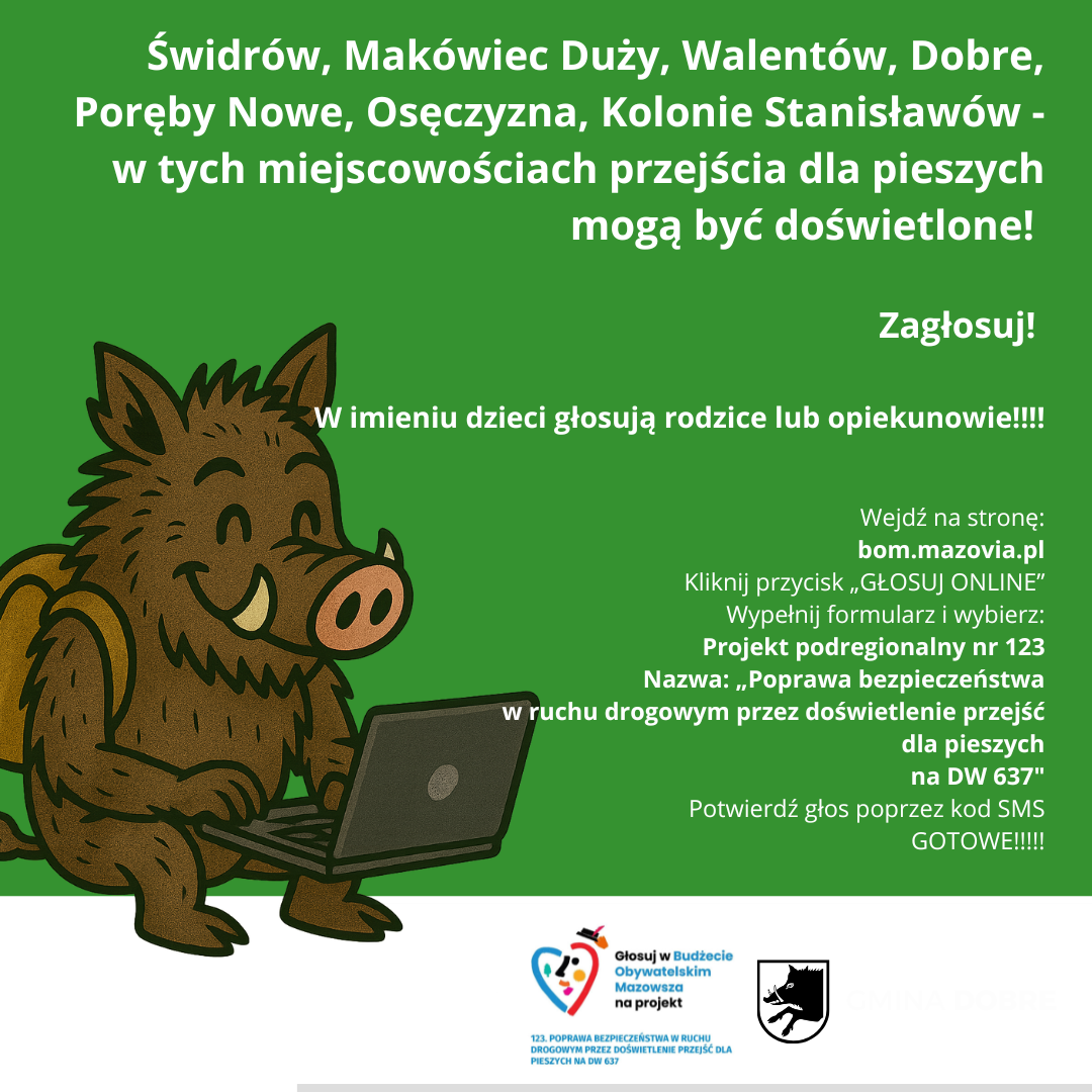 Plakat przedstawia dzika z laptopem na zielonym tle. Zachęca do głosowania na doświetlenie przejść w kilku miejscowościach. Zawiera instrukcje głosowania online.