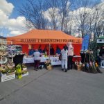 Kolorowe stoiska na targu z rękodziełem i jedzeniem. Namioty w kolorach pomarańczowym, różowym i zielonym. W tle drzewa i niebo z chmurami.