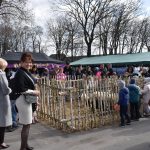 Na targu, ludzie oglądają zwierzęta za ogrodzeniem. W tle namioty w kolorach niebieskim i zielonym. Drzewa bez liści na niebie.